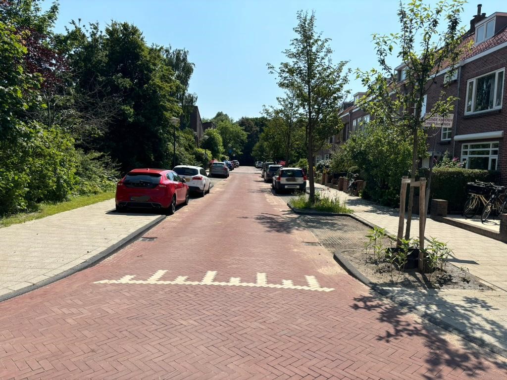 Duurzame wijkvernieuwingen in Leiden - Project De Inframanager